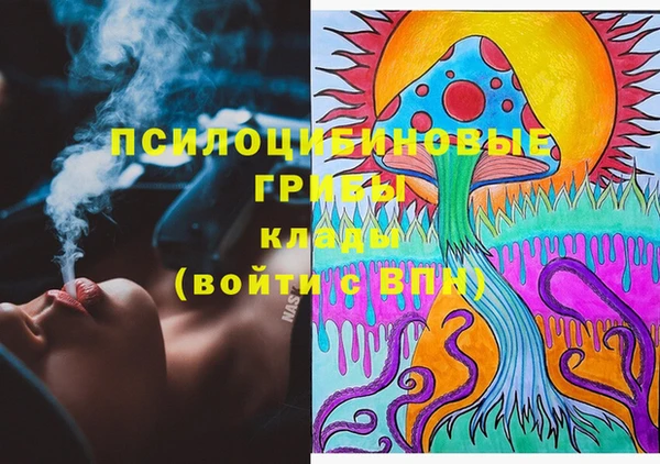 гидропоника Куйбышев