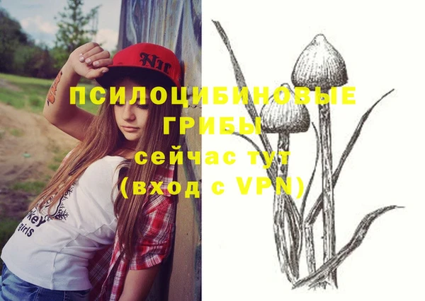 гидропоника Куйбышев
