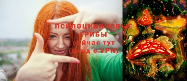 гидропоника Куйбышев