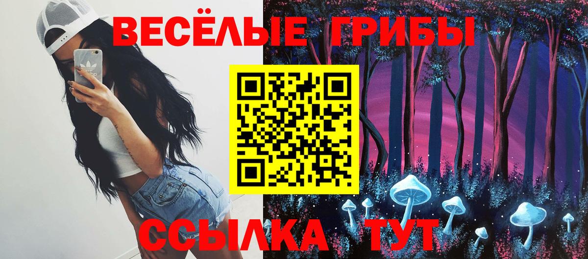 Галлюциногенные грибы GOLDEN TEACHER  Вход с VPN  где найти наркотики  Галлюциногенные грибы мухоморы  Сатка 