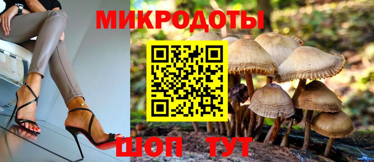 Сатка  Псилоцибиновые грибы Psilocybine cubensis  купить   Вход с VPN 